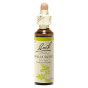 Fleurs de Bach Wild Rose 20ml - Revitalisez-vous avec