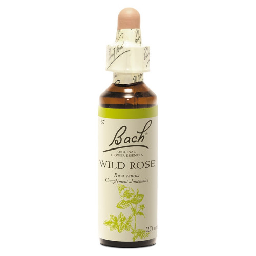 Fleurs de Bach Wild Rose 20ml - Revitalisez-vous avec