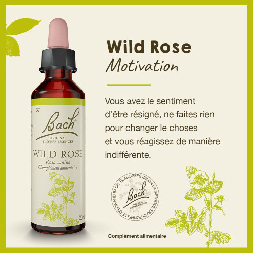 Fleurs de Bach Wild Rose 20ml - Revitalisez-vous avec