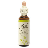 Fleurs de Bach Chestnut Bud 20ml - Elixir naturel pour bien-être