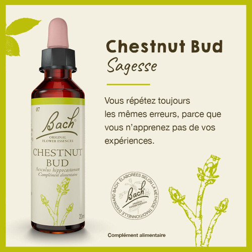 Fleurs de Bach Chestnut Bud 20ml - Elixir naturel pour bien-être