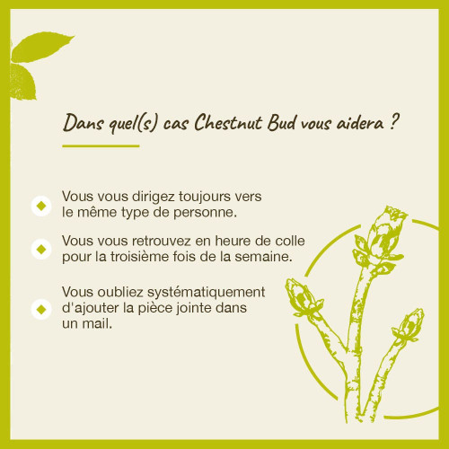 Fleurs de Bach Chestnut Bud 20ml - Elixir naturel pour bien-être