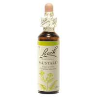 FLEURS DE BACH Original Mustard 20ml - Boostez votre moral avec