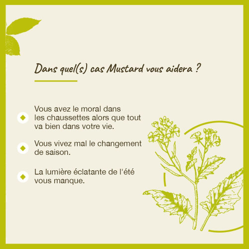FLEURS DE BACH Original Mustard 20ml - Boostez votre moral avec
