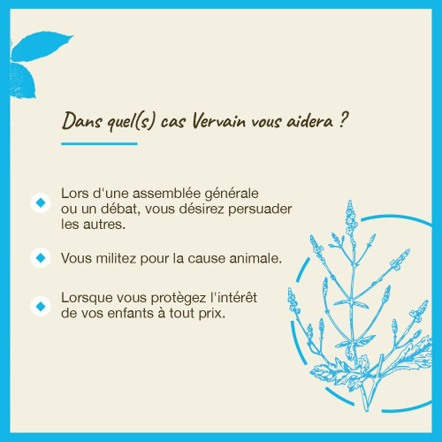 FLEURS DE BACH Vervain n°31 20mL - Tolérance accrue avec