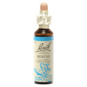 Fleurs de Bach Beech 20ml - Bien-être naturel sur