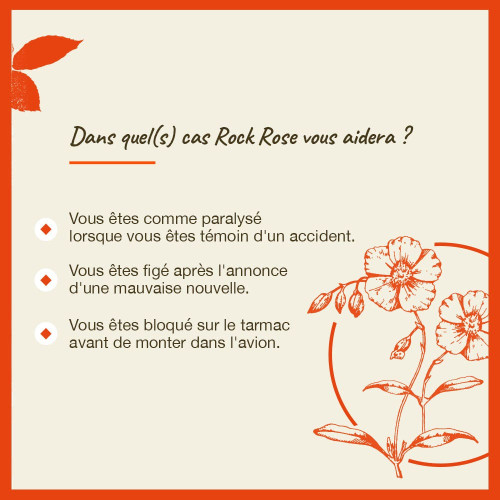 Fleurs de Bach Rock Rose 20ml - Sérénité et Calme sur