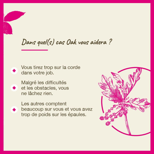 Fleurs de Bach Oak 20ml - Soutien naturel pour la vitalité sur