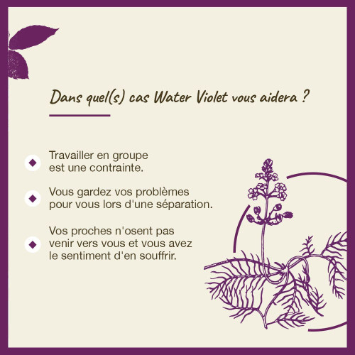 Fleurs de Bach Water Violet 20ml - Bien-être naturel sur