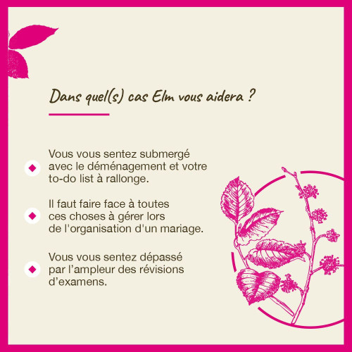 Fleurs de Bach Elm 20ml - Soulagement naturel du stress