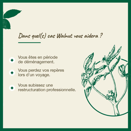Fleurs de Bach Walnut 20ml - Protection Change Parapharmacie