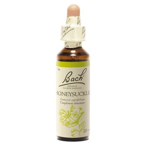 Fleurs de Bach Honeysuckle 20ml - Positivité et Présent Vivant