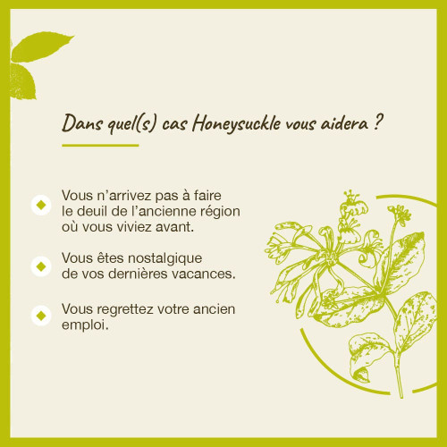 Fleurs de Bach Honeysuckle 20ml - Positivité et Présent Vivant