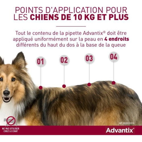 Advantix Grand Chien 40kg+ 4 Pipettes - Élimine Puces et Poux