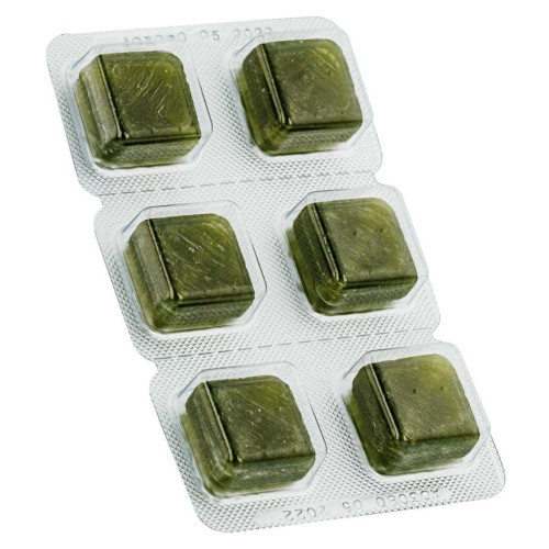 ELGYDIUM Fresh 12 Pastilles - Haleine Fraîche et Durable