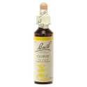 FLEURS DE BACH Gorse n°13 20ml - Booste confiance et optimisme
