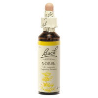 FLEURS DE BACH Gorse n°13 20ml - Booste confiance et optimisme