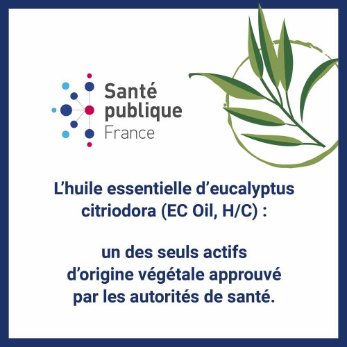 Insect Ecran Brume Anti-Moustiques 100ml - Protection 10h
