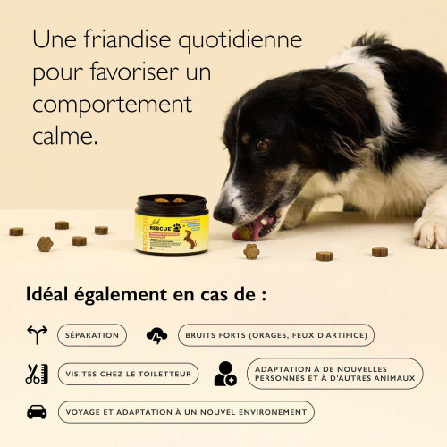 Rescue Pets Friandises relaxantes pour chiens 60 friandises
