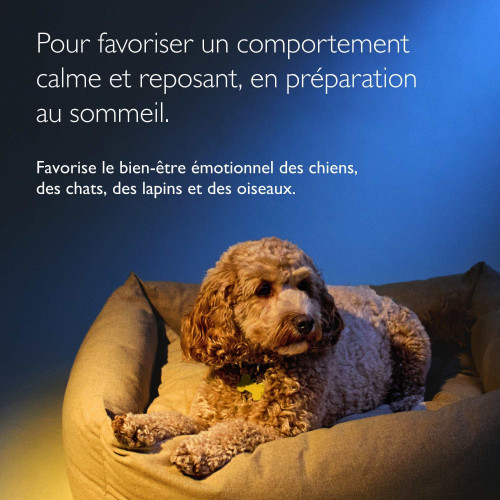 Rescue Nuit Pets 20 ml