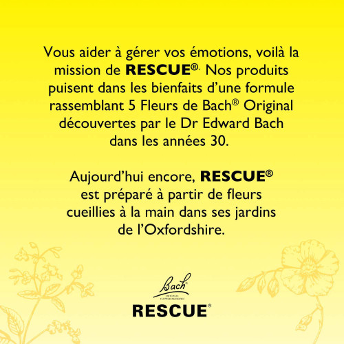 Bach Kids Compte-Gouttes Goût Fraise 10 ml