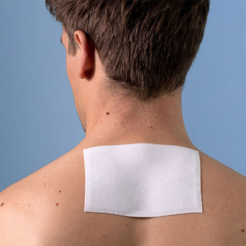IBSA Flect'Expert Patch Harpagophytum 5 patchs Soulagement Douleurs