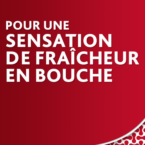 Parodontax Dentifrice Fraicheur Intense 75mL - Réduit Plaque