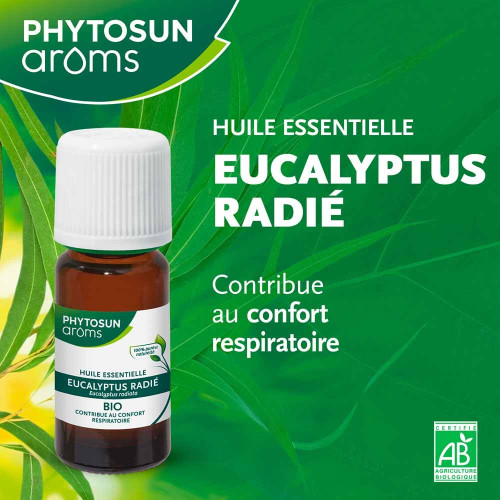 PhytoSun Aroms Eucalyptus Radiata Bio 10ml - Bien-être Respiratoire