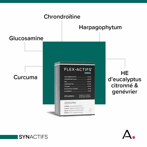 SynActif Flexactifs 60 gélules - Soulage douleurs