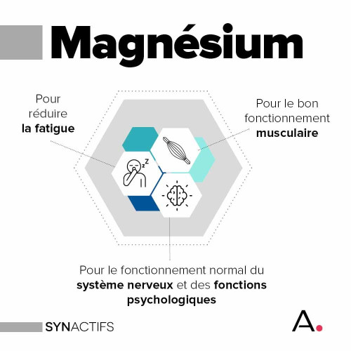 SynActifs Magnactifs 60 gélules - Réduit fatigue et booste énergie