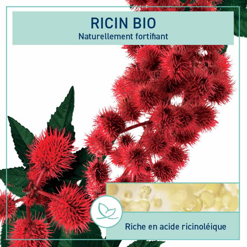 Huile Ricin Bio Natessance 100ml - Soin Capillaire Nourrissant