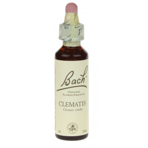FLEURS DE BACH n° 9 - Clematis - Clématite-698 FLEURS DE BACH n° 9 - Clematis - Clématite-698
