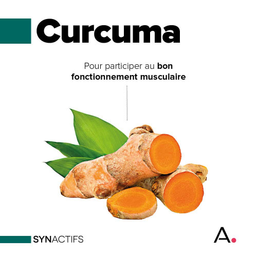 Synactifs Dolactifs Bio 15 Gélules - Soulage Inflammation