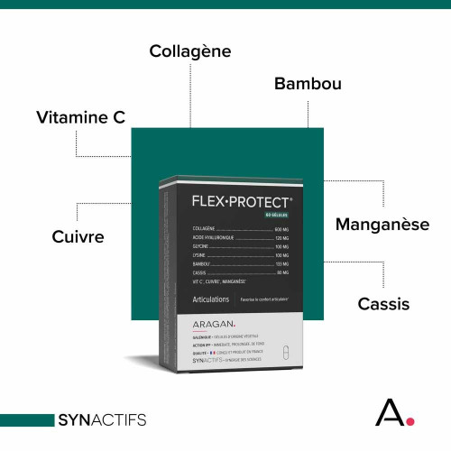 SYNACTIFS Flex Protect 60 gélules - Confort Articulations