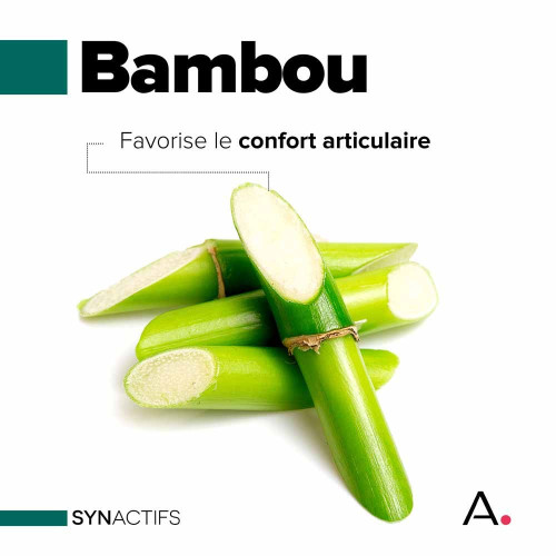 SYNACTIFS Flex Protect 60 gélules - Confort Articulations