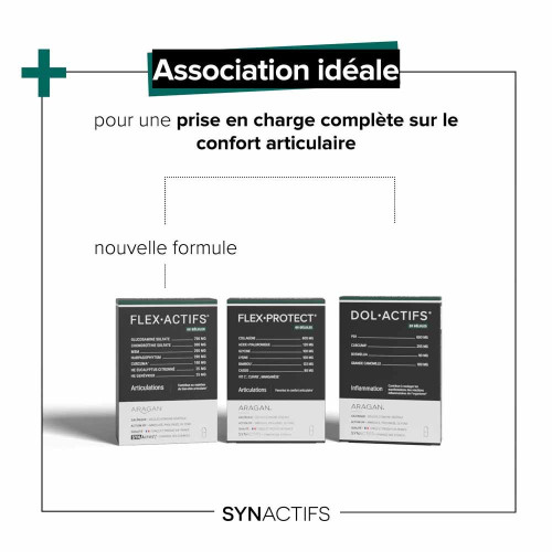 SYNACTIFS Flex Protect 60 gélules - Confort Articulations