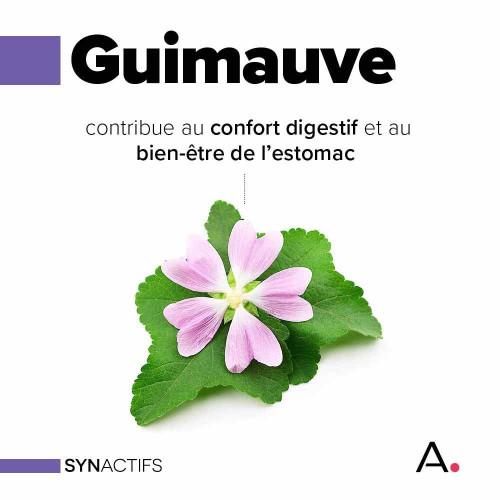 Synactifs Stoma Protect Bio 14 Comprimés - Soin Estomac Naturel