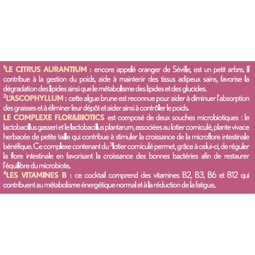 Oenobiol Microbio Slim 60 Gélules - Brûle-Graisse Efficace