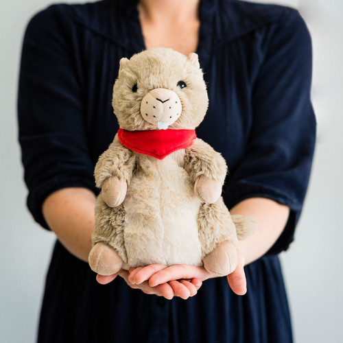 Cozy Peluches Bouillotte Marmotte