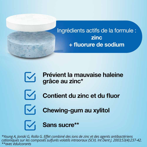 VIATRIS Boost Strong Mint 10 Gommes - Haleine Fraîche