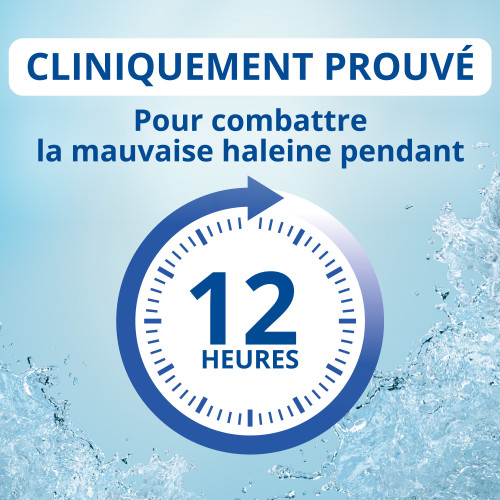 MEDA PHARMA Bain de Bouche 2x250ml - Haleine Fraîche 12h