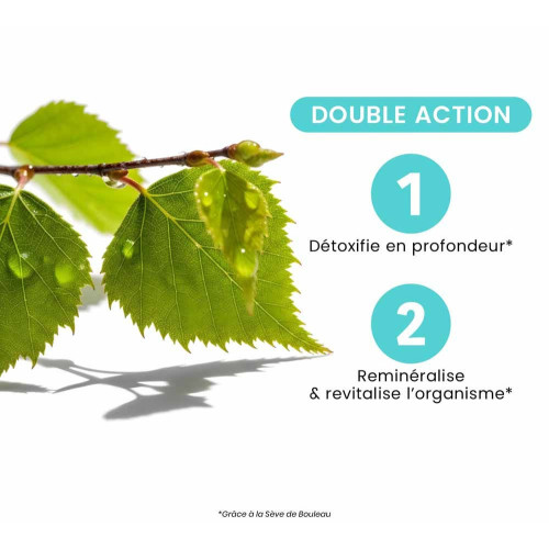 Santarome Bio Pure Sève de Bouleau 500ml - Reminéralisant Naturel