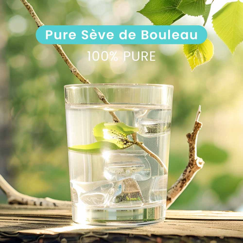 Santarome Bio Pure Sève de Bouleau 500ml - Reminéralisant Naturel