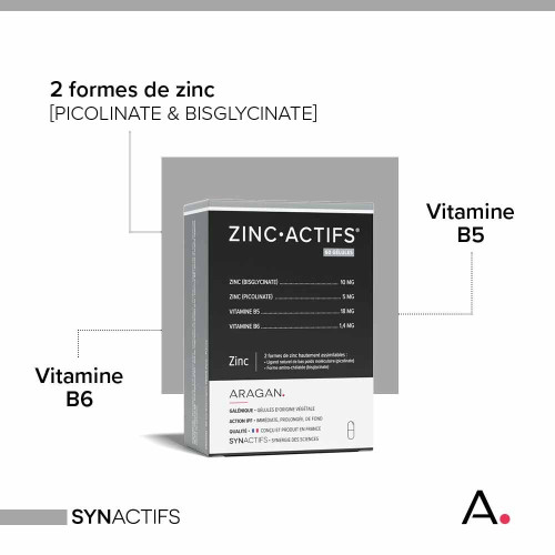ARAGAN Synactifs Zinc Actifs 60 gélules - Soutien Immunitaire