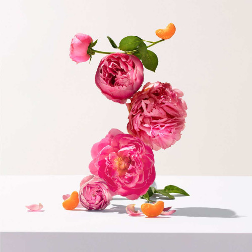 Eau Parfumée Rose Roger Gallet 100ml - Douceur Florale et Fraîcheur