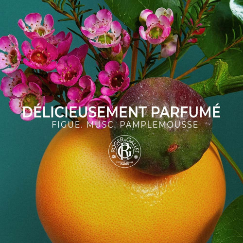 Crème Mains Fleur de Figuier 30ml - Nourrit et Protège