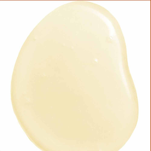Huile d'Argan Bio 100 ml