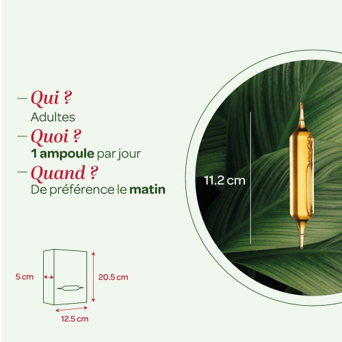 Drainaflore Bio 20 ampoules