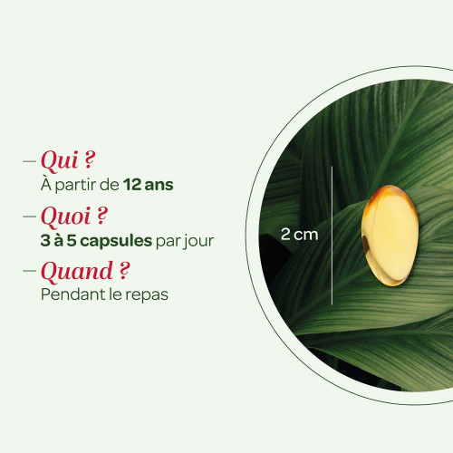 Onagre Bourrache 200 Capsules