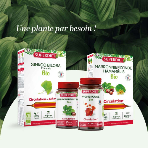 Quatuor Circulation Bio 120 gélules